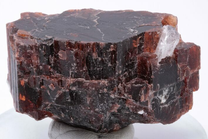 Rare, Red Villiaumite Crystal Section - Murmansk Oblast, Russia #195326